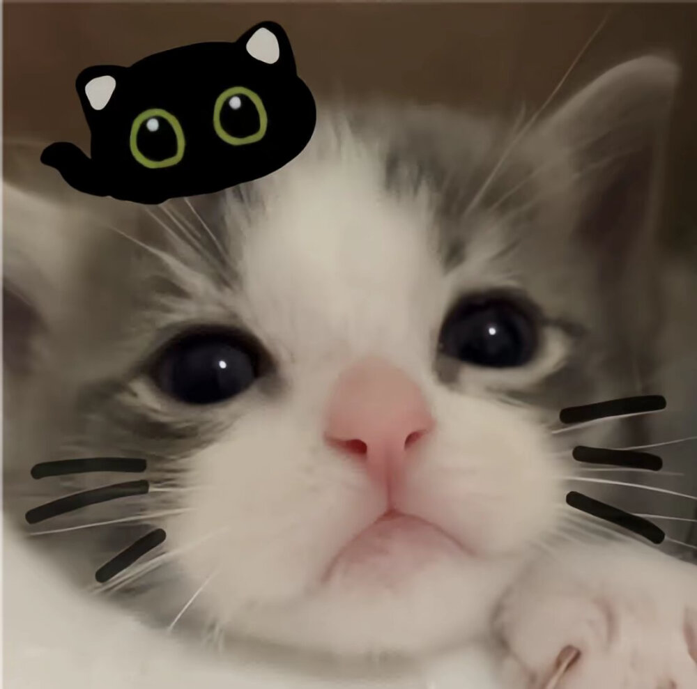 头像