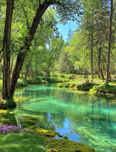 大自然是最好的疗愈师…