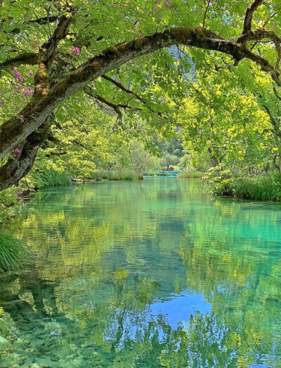 大自然是最好的疗愈师…