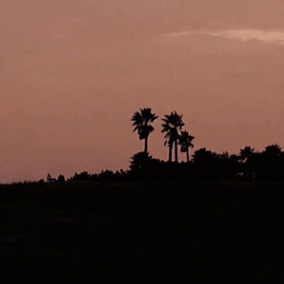 在记忆的废墟里，我独自翻找你的影子