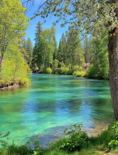 大自然是最好的疗愈师…