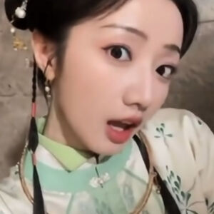 苦心莲子