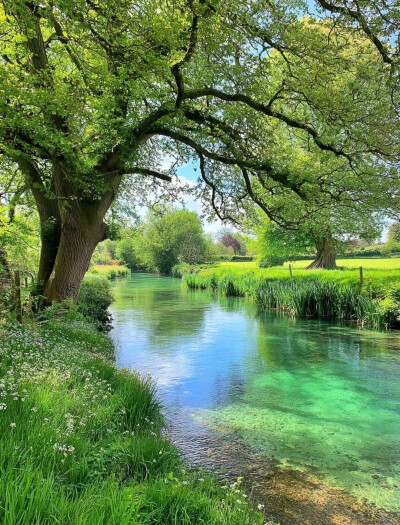 大自然是最好的疗愈师…