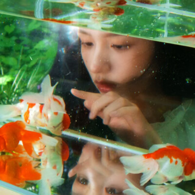 江舒៸៸᳐⦁⩊<៸៸᳐
