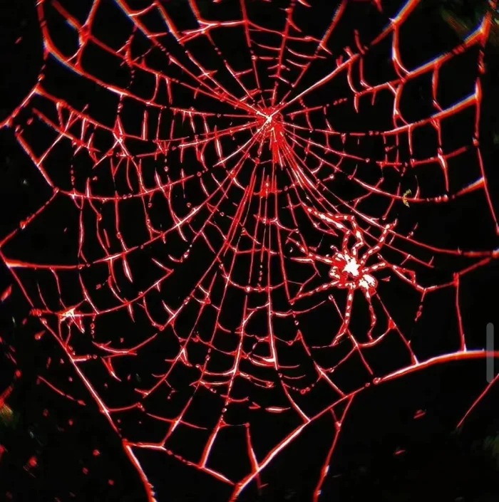 战士的眼泪...*맏언니마지막 합숙 훈련Four-leaf clover