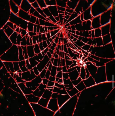 战士的眼泪...*맏언니마지막 합숙 훈련Four-leaf clover