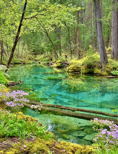 大自然是最好的疗愈师…