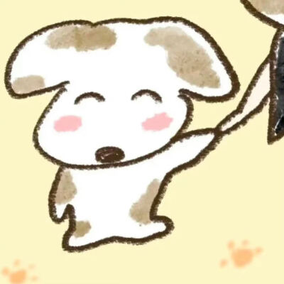 猫狗情头