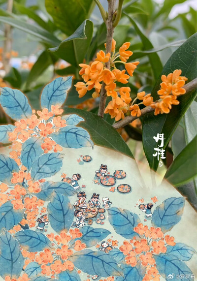 丹桂