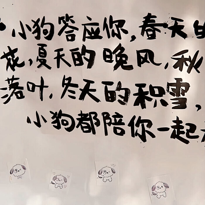 你好可爱 也会好幸福
赵露思
起司名札