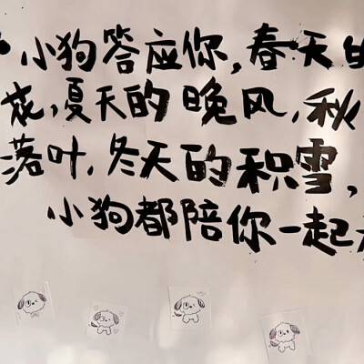 你好可爱 也会好幸福
赵露思
起司名札