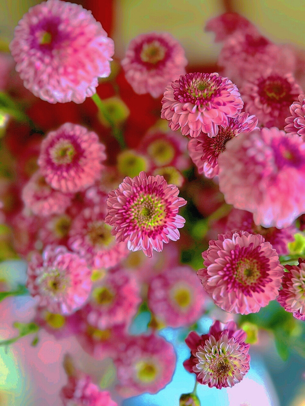 日常
花