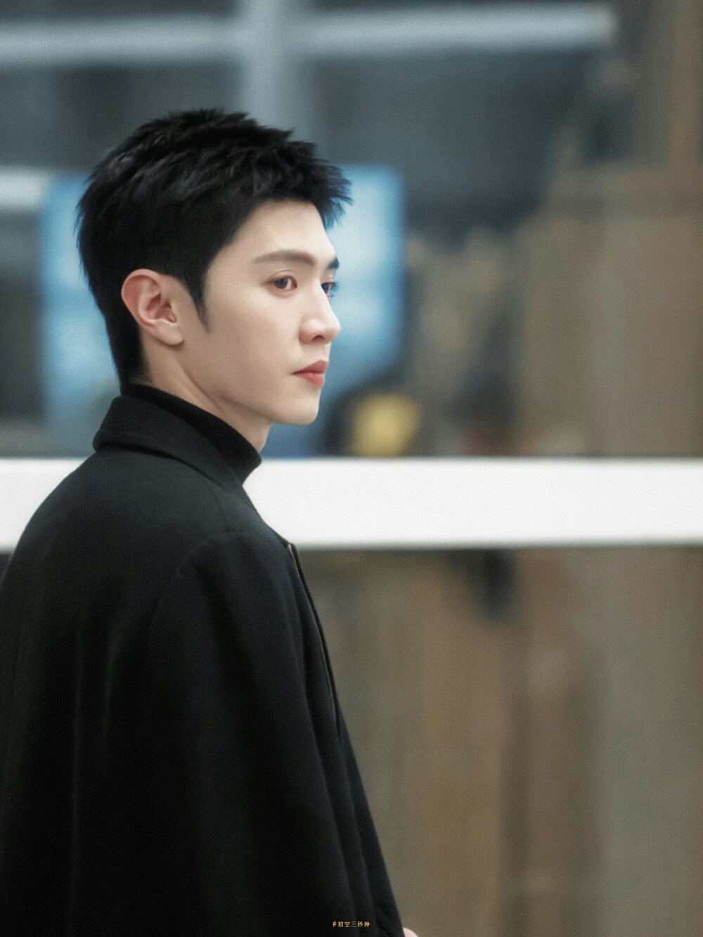 白色橄榄树
cr.@放空三秒钟