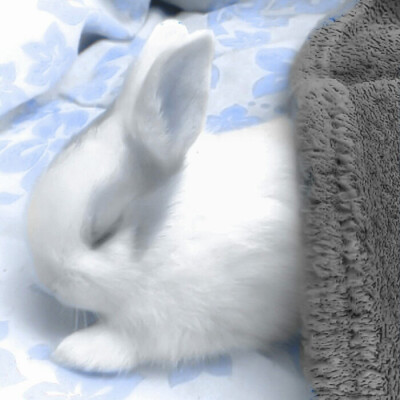 你给的许诺是空头支票