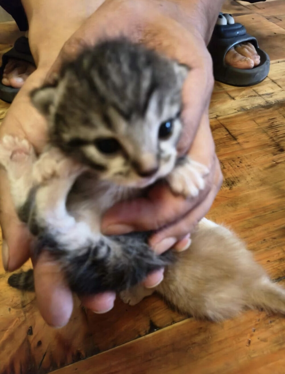 我很喜欢所以谢谢你