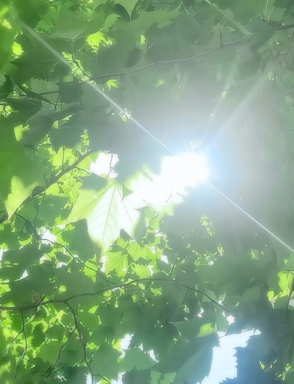 瓯江不落雪宝宝送哒₍˄·͈༝·͈˄*₎◞ ̑̑米米～