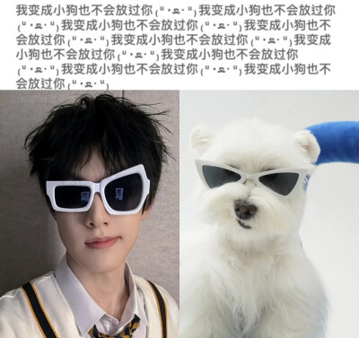 不会放过