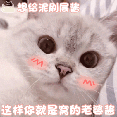 宝宝