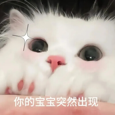 表情包