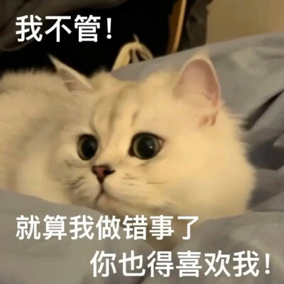 表情包