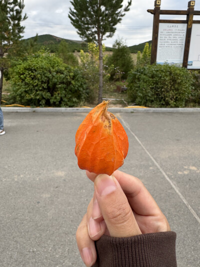 姑娘