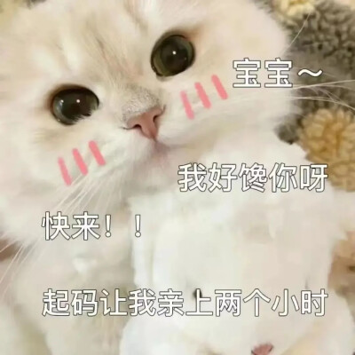 表情包