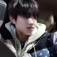 笨蛋也可以