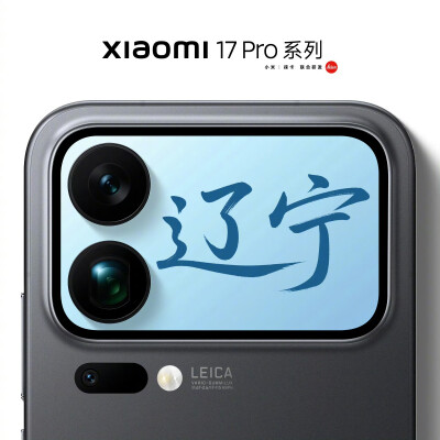 背屏上的中国之辽宁