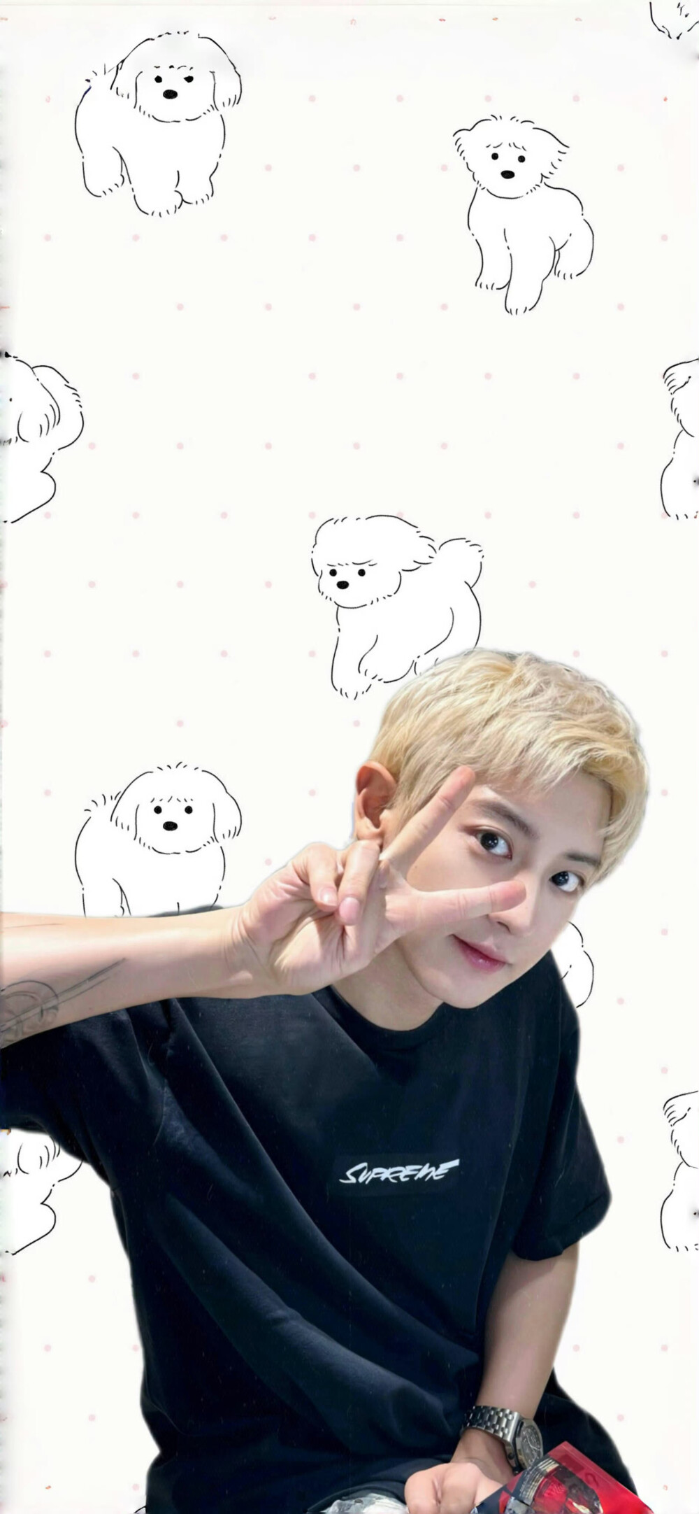 小猫改不了吃小鱼干ᗦ↞︎◃︎