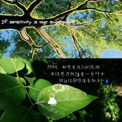 背景图