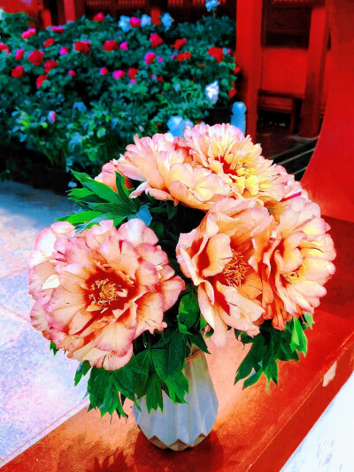 日常
花