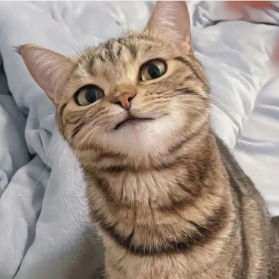 头像