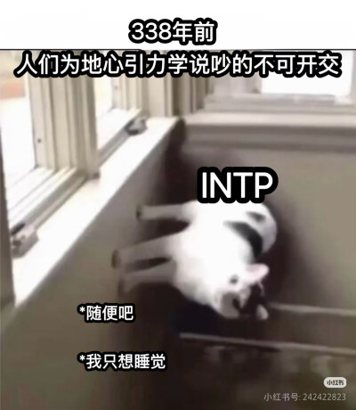 intp梗图