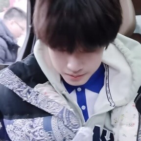 笨蛋也可以