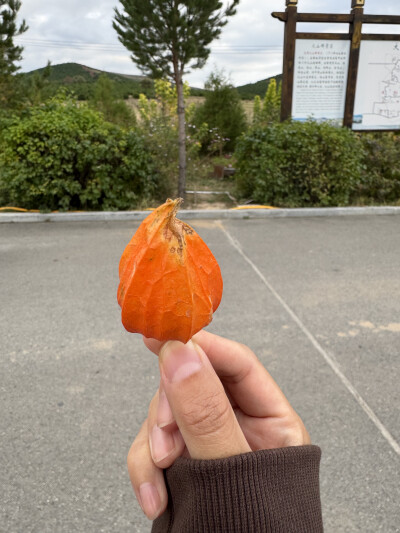 姑娘