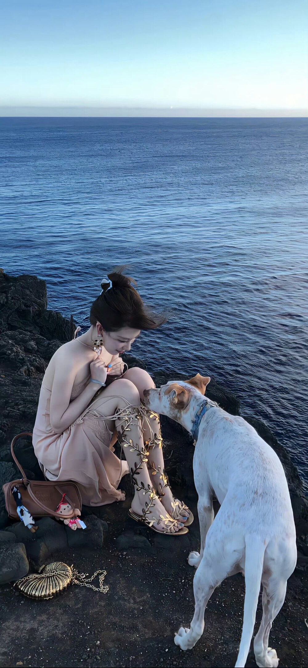 小猫改不了吃小鱼干ᗦ↞︎◃︎