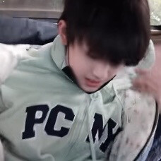 笨蛋也可以