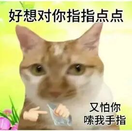 猫猫表情包