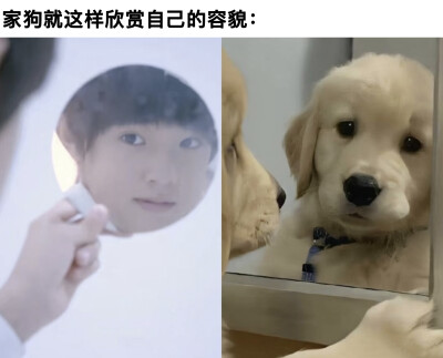 照镜子