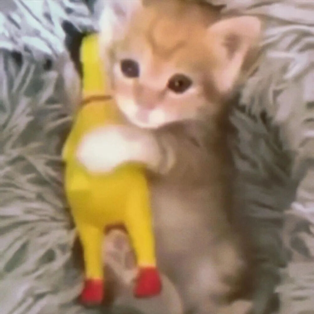 我很喜欢所以谢谢你