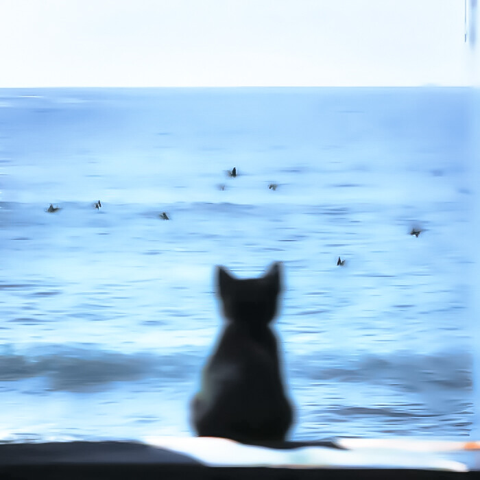 ✿ ꉂ ･ ･ ☆
