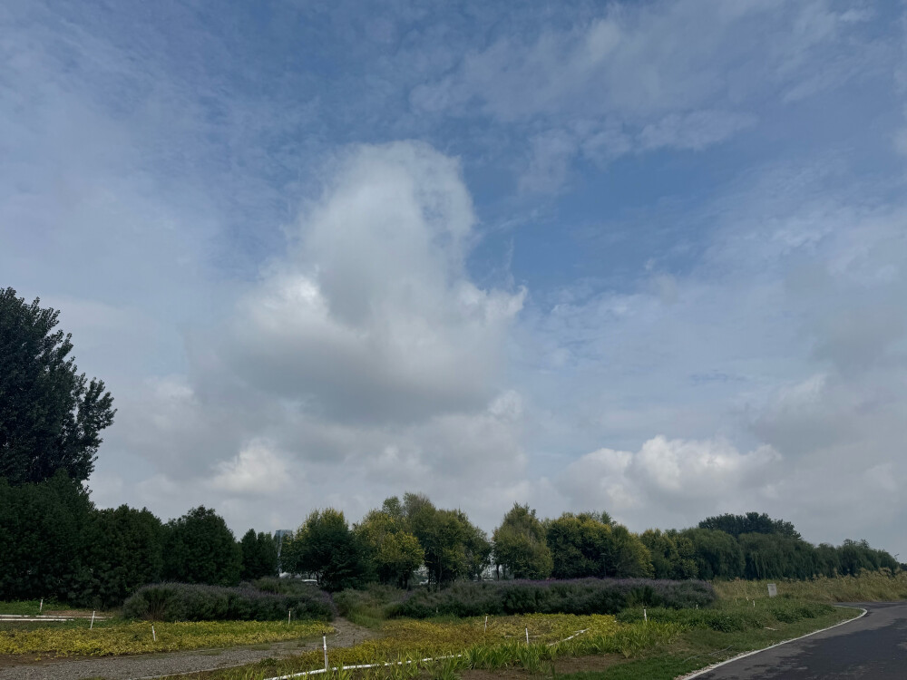 岔河
