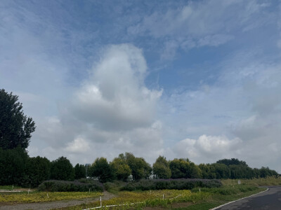 岔河