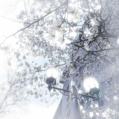 (∗ᵒ̶̶̷̀ω˂̶́∗)੭₎₎̊₊♡