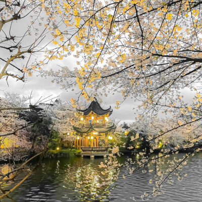 沅冬序