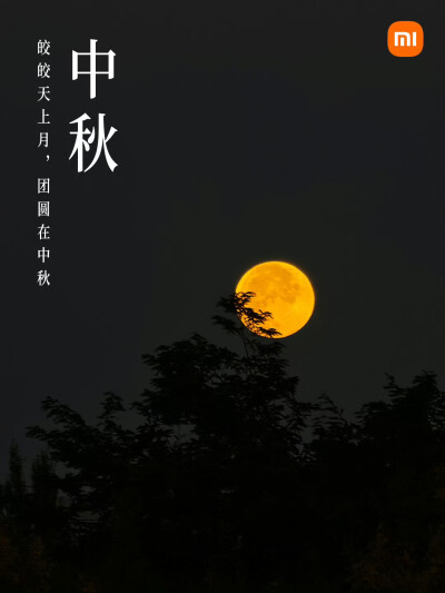 小米手机节日海报