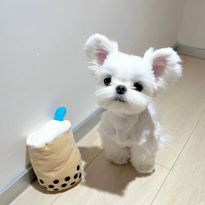 图源ks：偷喝汽水
