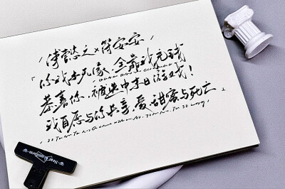 在生存游戏做锦鲤
懿安CP向
/自割腿肉之作꒦ິ^꒦ິ