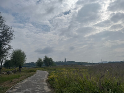 岔河