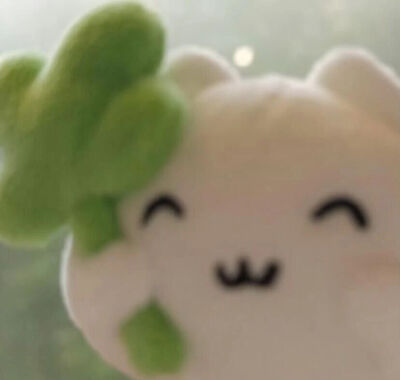 头像杂烩